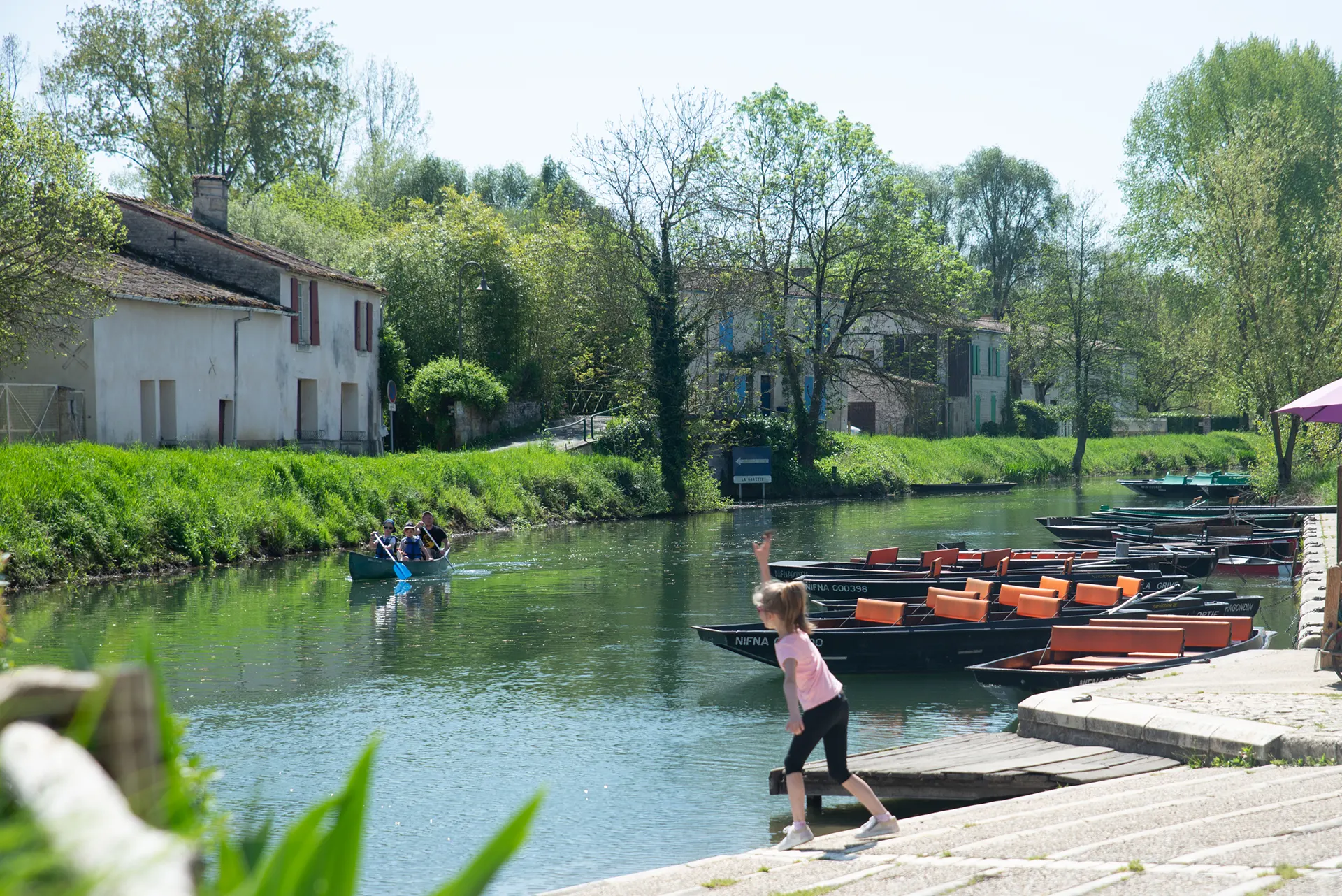 marais poitevin coulon